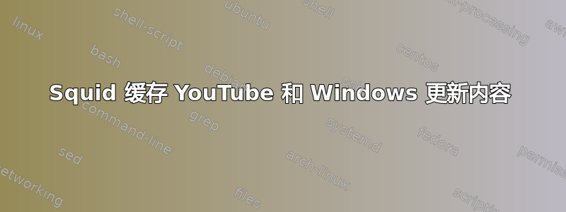 Squid 缓存 YouTube 和 Windows 更新内容