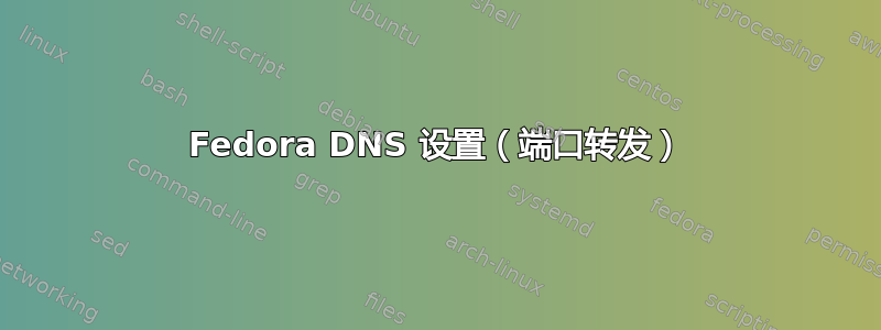 Fedora DNS 设置（端口转发）