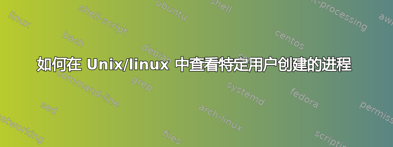 如何在 Unix/linux 中查看特定用户创建的进程