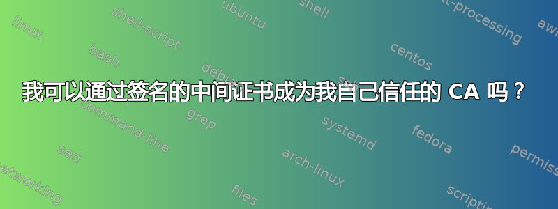 我可以通过签名的中间证书成为我自己信任的 CA 吗？