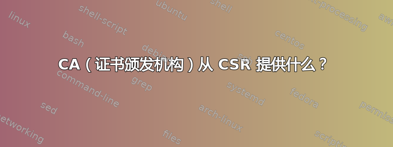 CA（证书颁发机构）从 CSR 提供​​什么？