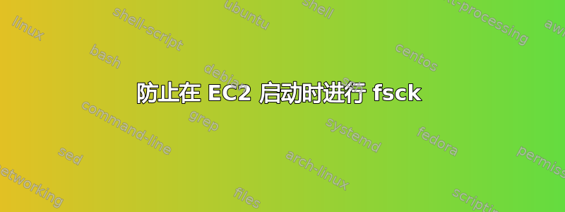 防止在 EC2 启动时进行 fsck