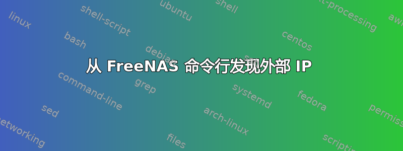 从 FreeNAS 命令行发现外部 IP