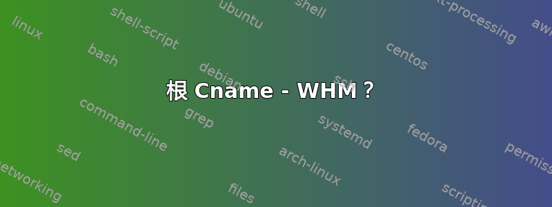 根 Cname - WHM？