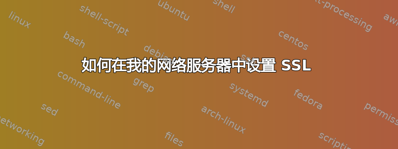 如何在我的网络服务器中设置 SSL