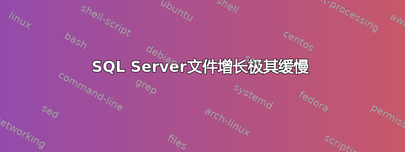 SQL Server文件增长极其缓慢