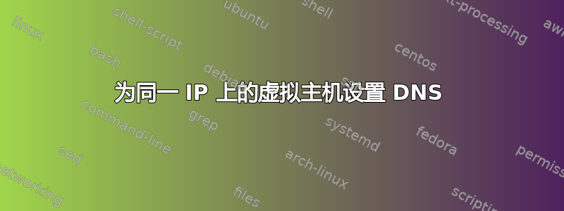 为同一 IP 上的虚拟主机设置 DNS