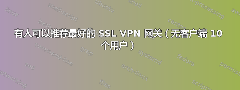 有人可以推荐最好的 SSL VPN 网关（无客户端 10 个用户）