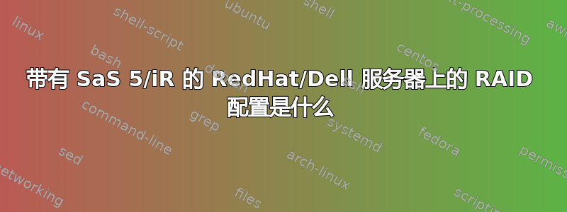 带有 SaS 5/iR 的 RedHat/Dell 服务器上的 RAID 配置是什么