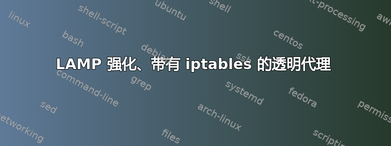 LAMP 强化、带有 iptables 的透明代理