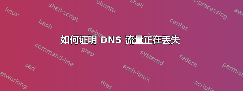 如何证明 DNS 流量正在丢失