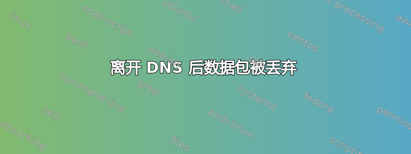 离开 DNS 后数据包被丢弃