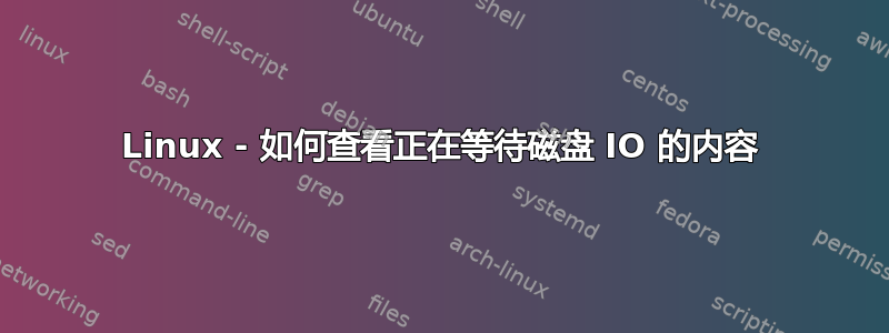 Linux - 如何查看正在等待磁盘 IO 的内容