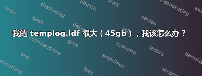 我的 templog.ldf 很大（45gb），我该怎么办？