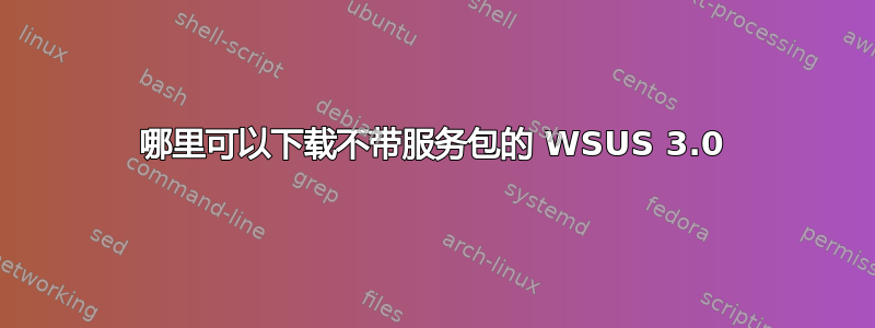 哪里可以下载不带服务包的 WSUS 3.0