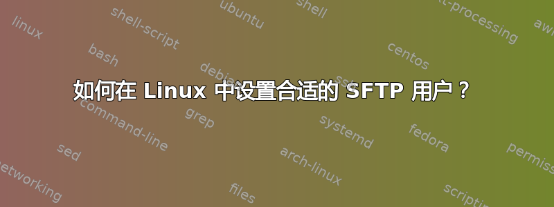 如何在 Linux 中设置合适的 SFTP 用户？