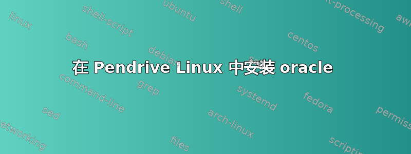 在 Pendrive Linux 中安装 oracle