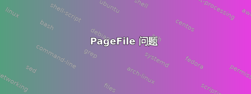 PageFile 问题