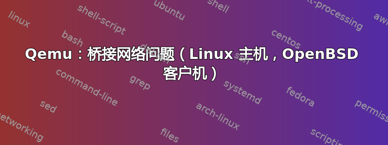 Qemu：桥接网络问题（Linux 主机，OpenBSD 客户机）