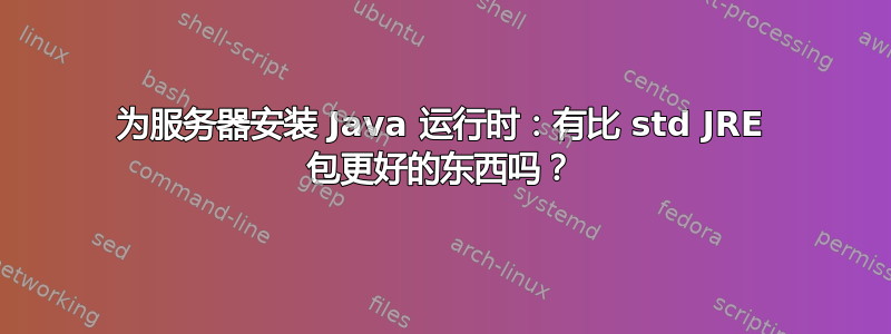 为服务器安装 Java 运行时：有比 std JRE 包更好的东西吗？