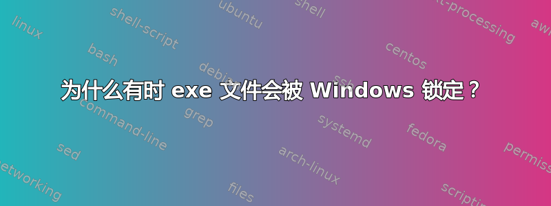 为什么有时 exe 文件会被 Windows 锁定？