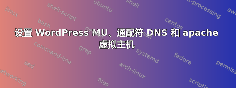 设置 WordPress MU、通配符 DNS 和 apache 虚拟主机