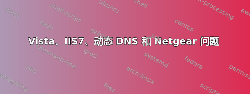 Vista、IIS7、动态 DNS 和 Netgear 问题