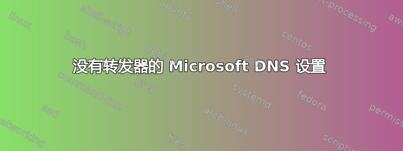 没有转发器的 Microsoft DNS 设置