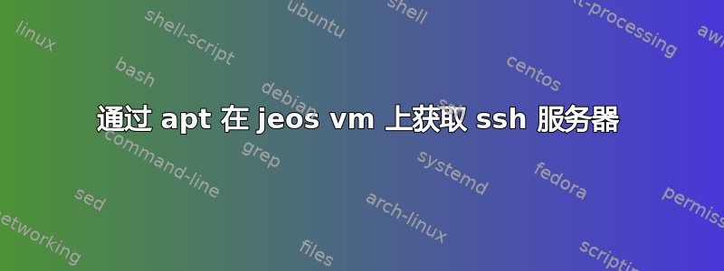 通过 apt 在 jeos vm 上获取 ssh 服务器