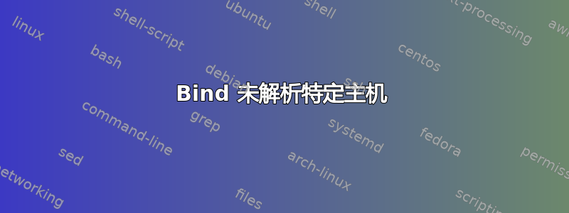 Bind 未解析特定主机