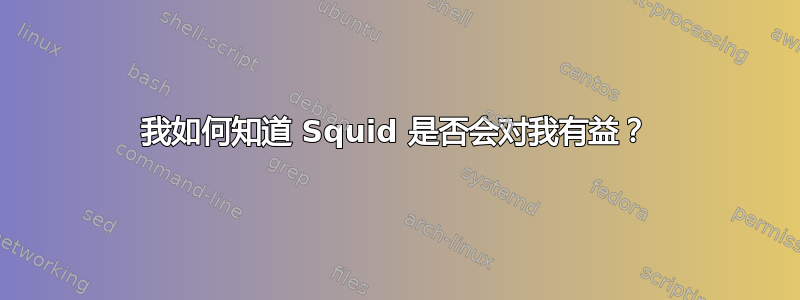 我如何知道 Squid 是否会对我有益？