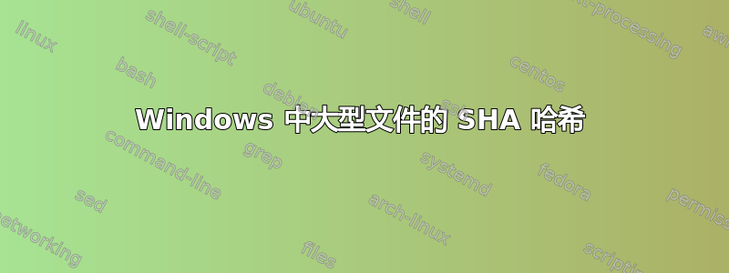 Windows 中大型文件的 SHA 哈希