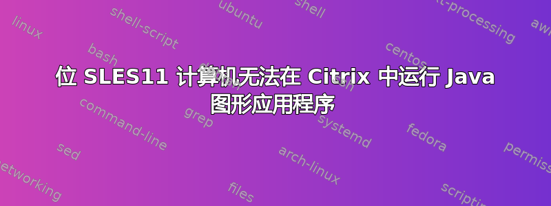 64 位 SLES11 计算机无法在 Citrix 中运行 Java 图形应用程序