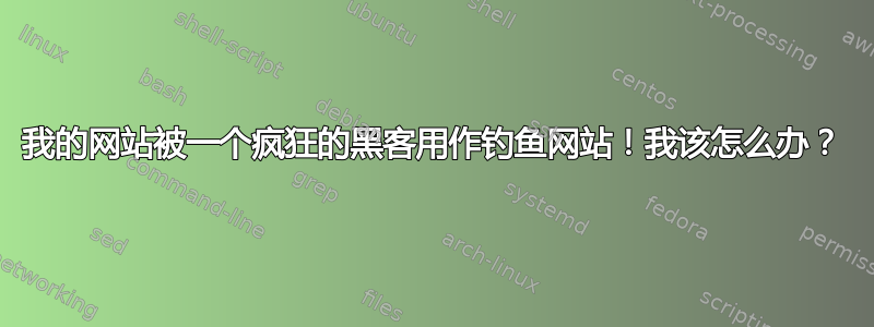 我的网站被一个疯狂的黑客用作钓鱼网站！我该怎么办？