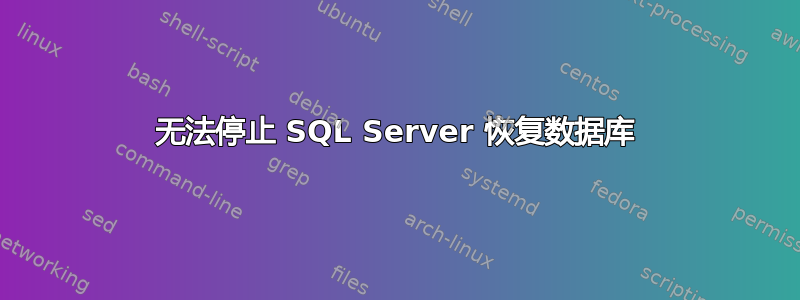 无法停止 SQL Server 恢复数据库