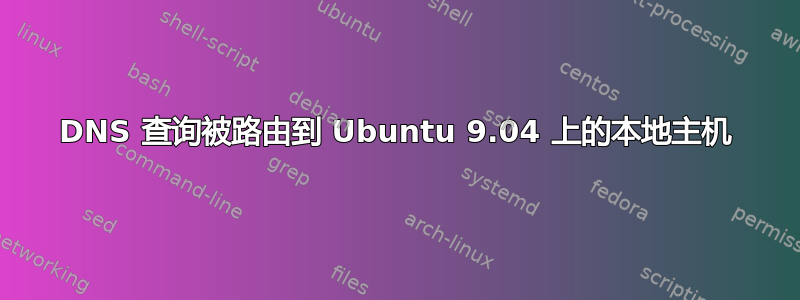 DNS 查询被路由到 Ubuntu 9.04 上的本地主机