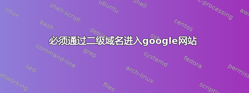 必须通过二级域名进入google网站