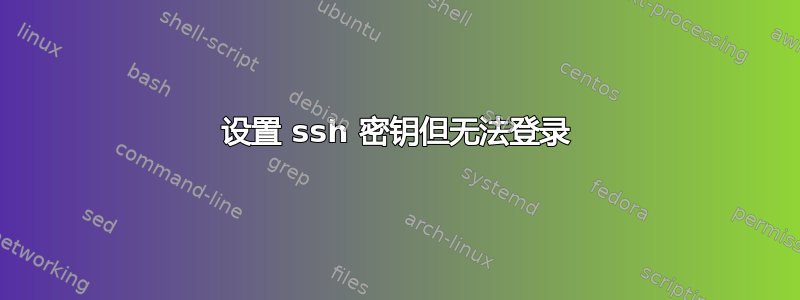 设置 ssh 密钥但无法登录