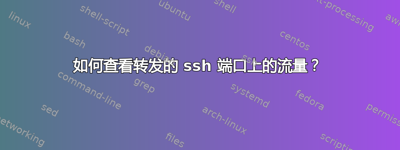 如何查看转发的 ssh 端口上的流量？