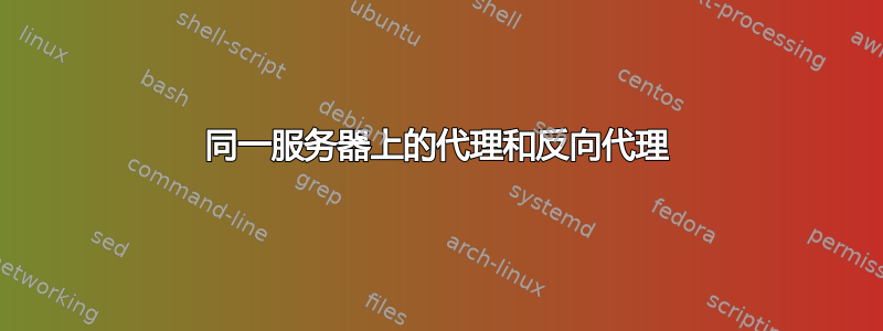 同一服务器上的代理和反向代理