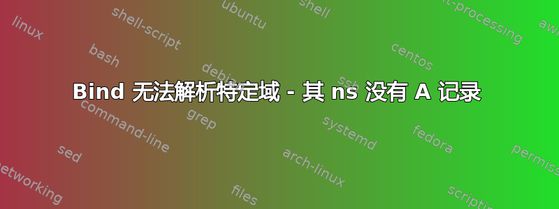 Bind 无法解析特定域 - 其 ns 没有 A 记录