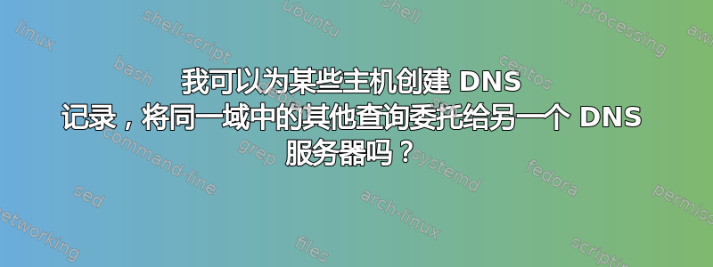 我可以为某些主机创建 DNS 记录，将同一域中的其他查询委托给另一个 DNS 服务器吗？