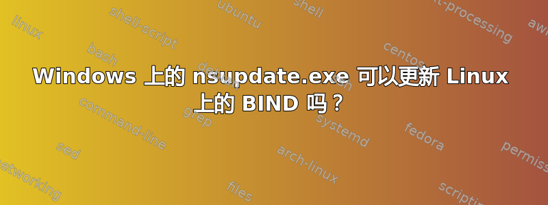 Windows 上的 nsupdate.exe 可以更新 Linux 上的 BIND 吗？