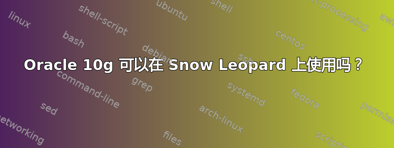 Oracle 10g 可以在 Snow Leopard 上使用吗？