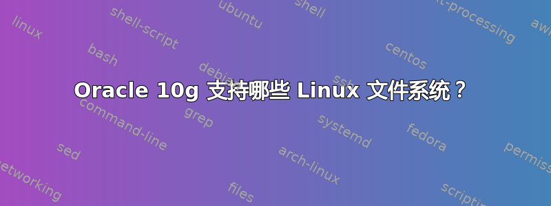 Oracle 10g 支持哪些 Linux 文件系统？