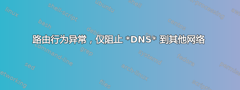 路由行为异常，仅阻止 *DNS* 到其他网络