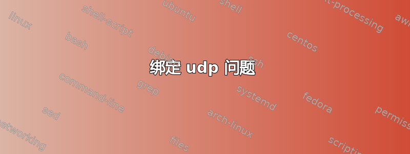 绑定 udp 问题