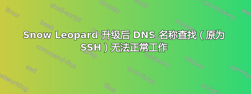 Snow Leopard 升级后 DNS 名称查找（原为 SSH）无法正常工作