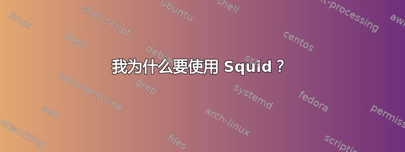 我为什么要使用 Squid？