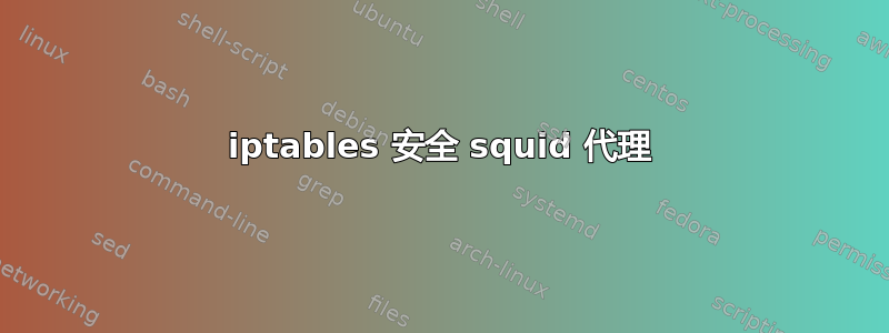 iptables 安全 squid 代理